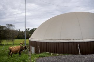 Une vache est visible à côté d'une installation de production de biogaz, une énergie renouvelable issue de la fermentation de matières organiques (archives). KEYSTONE/JEAN-CHRISTOPHE BOTT